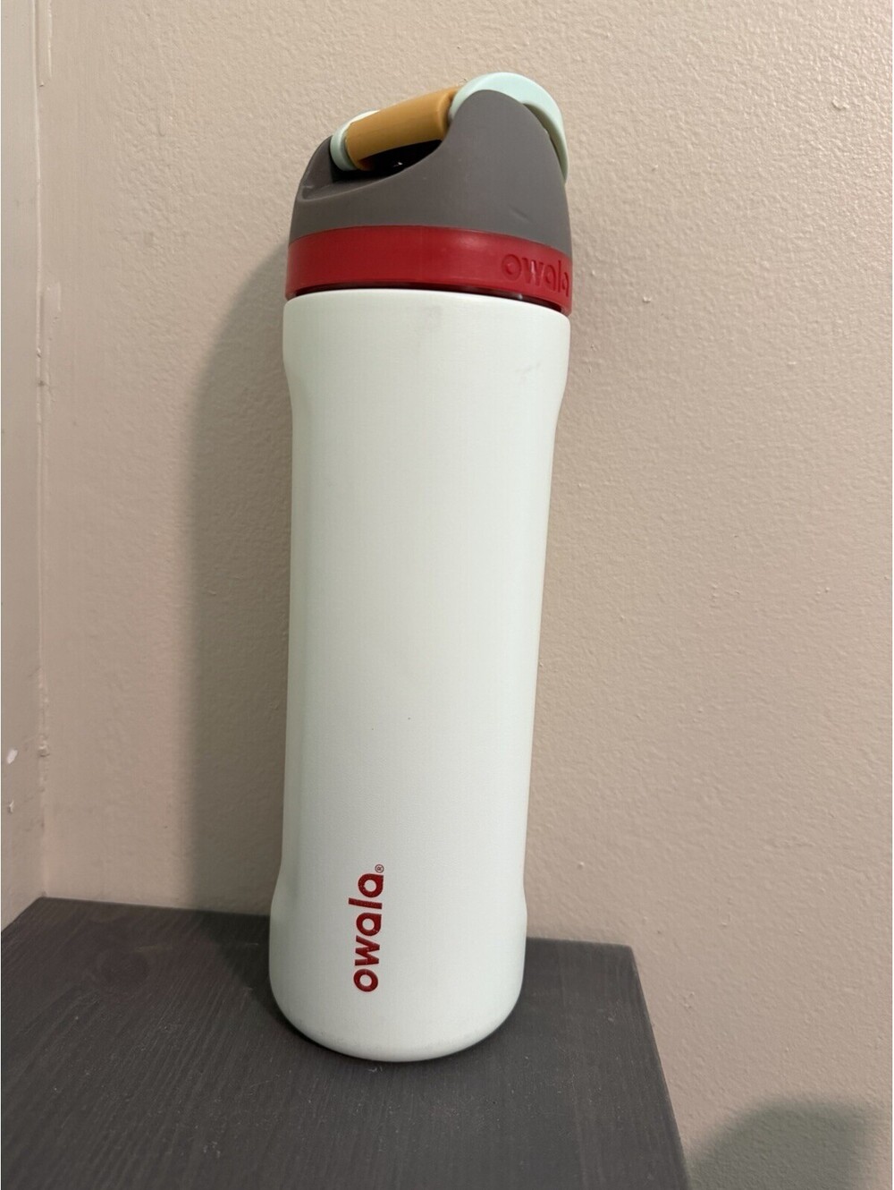 Owala FreeSip Stainless Steel Water Bottle / 40oz / Color: Boneyard